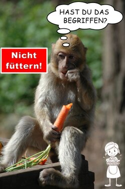 Nicht füttern!