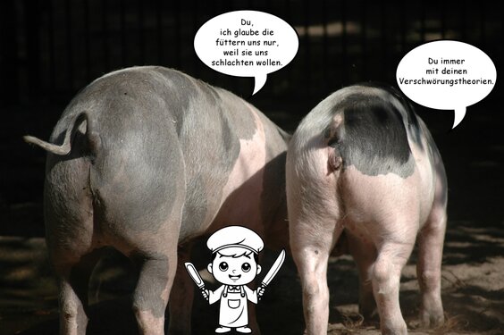 Metzger trifft Schweine